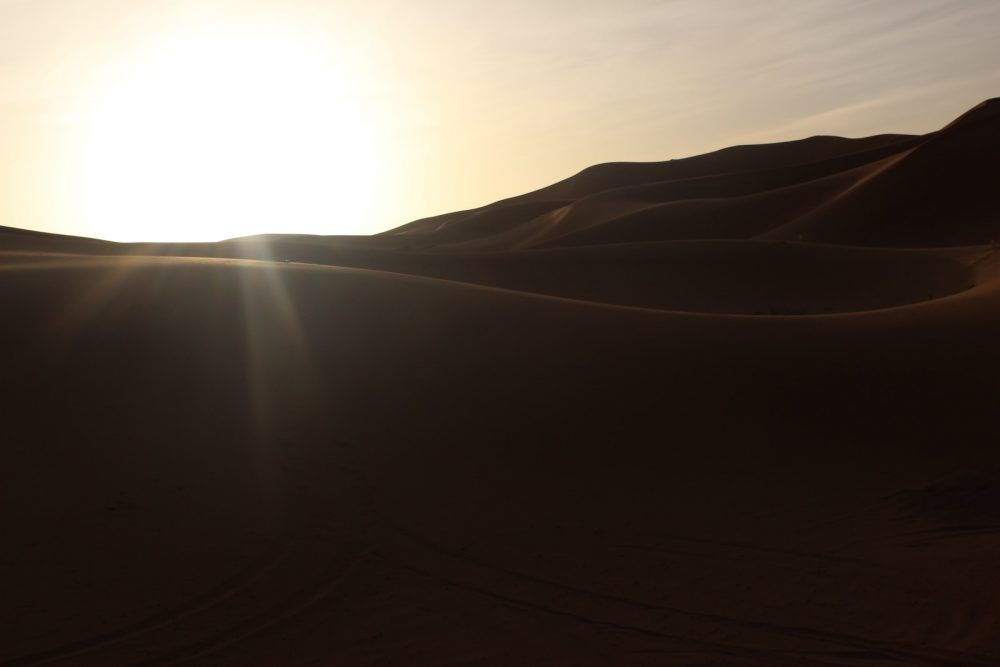 a desert sunrise