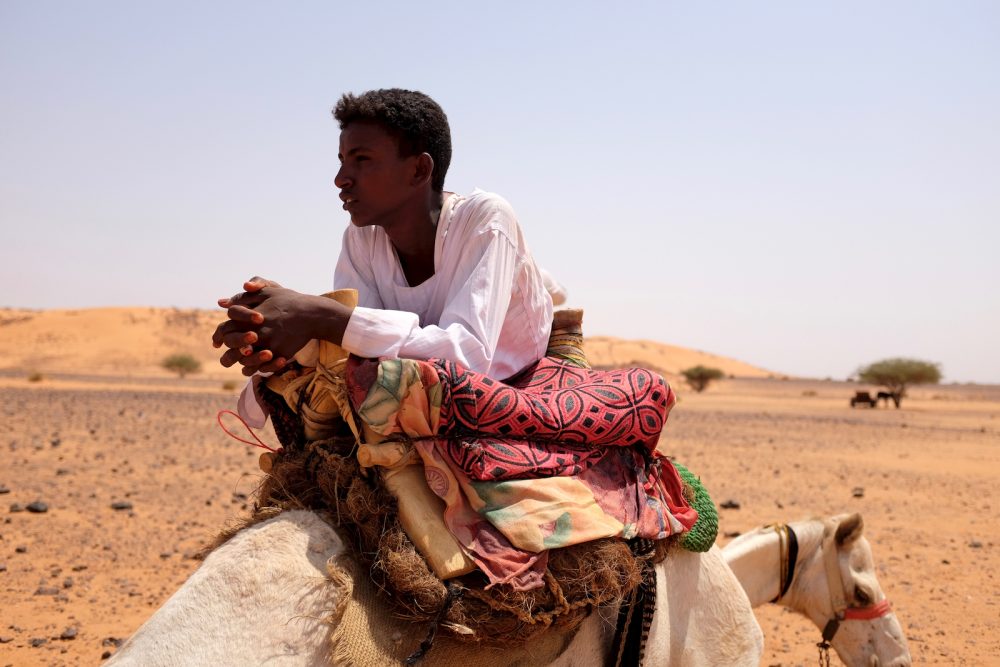 Young man on a camel
